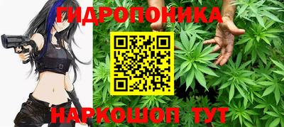 мдпв Усть-Илимск