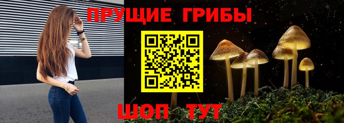 Псилоцибиновые грибы прущие грибы  Вход с VPN  Артём 